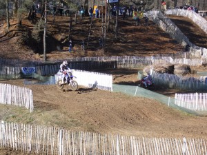 SAM_0246